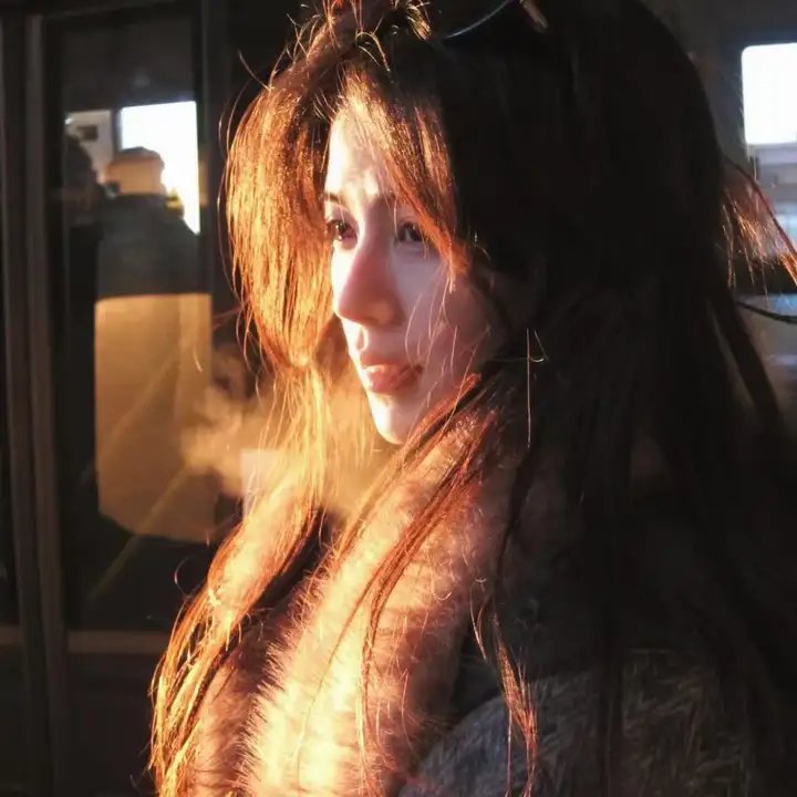 动物狂想曲第二季