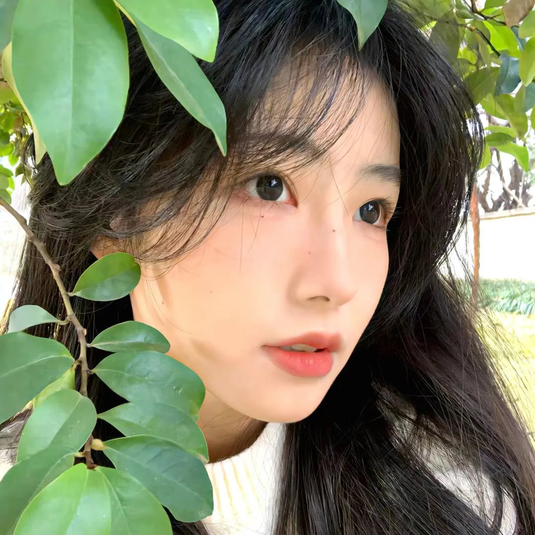 翼龙